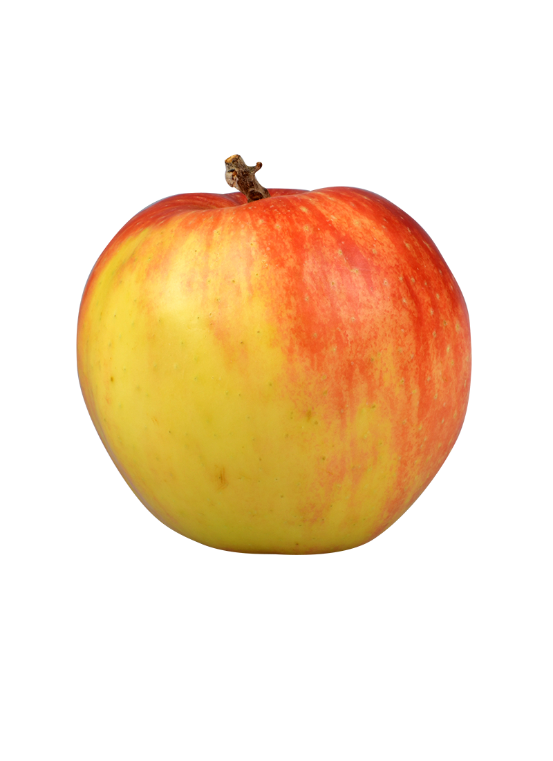 Apfel, kg 2 Obsthof Böhm - Jonagold